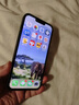 EDDGA【配钢化膜】适用于苹果13promax手机壳iphone13promax手机壳PC电镀玻璃镜头膜磨砂防摔手机硬壳 实拍图