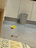 华元宠具（hoopet）猫玩具自动逗猫球自嗨解闷小猫电动发声智能玩具球冲鸭猫咪鸭子 冲鸭（颂小包猫薄荷） 实拍图