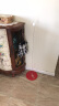 红双喜乒乓球训练器弹力软轴室内家用儿童玩具网红兵兵球自练神器 塑料底盘(含球拍) 实拍图