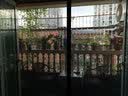 靠森定制门帘磁吸隐形免打孔防蚊纱窗纱门折叠透明纱网隐形隔断门推拉 红木纹双开 实拍图