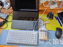 魔蛋（magicforce）MF17数字小键盘 机械键盘 笔记本外接有线小键盘 财务会计收银证券 USB接口 拼色红轴白灯 实拍图