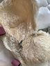 都市丽人文胸薄款乳胶内衣无钢圈超薄透气蕾丝女士大胸显小2B13A3 实拍图