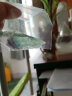 天然水晶宝石石头奇石矿石标本原石摆件地质教学科普摆件 绿萤石一块(2-3cm) 实拍图
