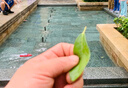 启旺电动遥控船快艇玩具潜水艇摇控船模型航空母舰大马力拉网水上儿童 25cm升级款续航100分钟 默认 实拍图