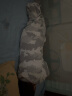良良（liangliang）婴儿睡袋 春秋儿童恒温睡袋 冬季宝宝保暖可拆袖防踢被子 发热款·迷彩龙【室温10-18℃】 XL（建议参考身高95-105CM） 实拍图