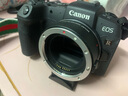 佳能 Canon EOS R RP R50 R6 R3 R5C R10 全画幅二手微单相机 直播相机 佳能EOS RP 单机身 95成新 实拍图