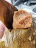 五芳斋粽子 端午节嘉兴粽子特产 中华老字号 3味6粽 五芳风味粽袋装760g 实拍图