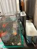 森森低音HBL壁挂式瀑布过滤外置鱼缸过滤泵水族箱乌龟缸过滤器 302不带除油膜3W 实拍图