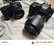 佳能（Canon）EOS R8全画幅微单相机 佳能r8专微轻型 直播相机 6K超采样 VLOG视频 R8单机+RF50F1.8小痰盂镜头套装 套餐三【128G高速卡~续航双电池~佳能相机包】 实拍图