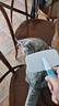 憨憨乐园狗梳子猫梳子猫狗毛梳清理器梳毛刷猫咪梳毛器宠物狗狗刷毛浮毛ZD 实拍图