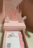 迪士尼（Disney）花蝶之约项链女生生日礼物初中学生送女朋友对象实用带礼盒 花蝶之约【迪士尼童话城堡】 晒单实拍图