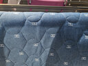 南极人（Nanjiren）单人学生宿舍床垫1.2米x2米乳胶软垫可折叠榻榻米地垫床被褥垫子 南极人-波浪白蓝D【约6cm厚】 120x190cm【抗压回弹】 实拍图