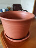 花博士花盆 家用客厅加厚中钵花卉盆栽花盆带托盘种植盆圆形塑料花盆 茶色155-口径15.3cm【盆+托】 三套装 实拍图