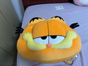 爱绒艺正版加菲猫大电影同款公仔毛绒玩具橘色Garfield胖猫咪玩偶礼物  40CM加菲猫头型抱枕 正版授权 防伪镭射标 实拍图