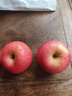 冉沃优选甘肃大漠正宗冰糖心红富士苹果高原脆甜苹果新鲜当季水果整箱 80-85mm果径（净重4.5斤大果） 实拍图