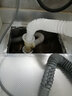 潜水艇（Submarine）洗衣机地漏接头下水三通防臭防溢水圆形地漏盖子全自动滚筒排水管 【最新款】接1洗衣机1面盆配防臭 实拍图