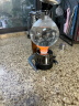 Mongdio 虹吸壶 家用虹吸式咖啡壶套装煮咖啡机手动TCA-3人份 实拍图