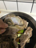 往来白丁内蒙古原切牛脊骨带肉新鲜牛骨头多肉牛骨髓牛脖骨牛蝎子牛肉生鲜 高品质内蒙牛脊骨4斤 实拍图