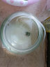 SOBO圆形鱼缸客厅桌面家用摔不烂pc塑料鱼缸高透明仿玻璃小型金鱼缸 【裸缸】25*18cm 实拍图