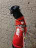 Lanswood 狗狗衣服拉布拉多金毛大型犬小型犬泰迪柯基柴犬狗衣服中大型犬 红衣-中国年兽 4X建议22斤左右 实拍图