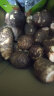 家美舒达山东 牛奶小芋头 毛芋头 芋艿 2.5kg 无泥沙净果 新鲜蔬菜 晒单实拍图