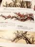 中国画实用技法丛书：写意梅花 实拍图
