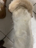 南极人 皮毛一体羊毛鞋垫男保暖毛绒加厚雪地靴棉冬季女 白色 37 实拍图