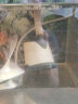 森森（SUNSUN）鱼缸潜水泵底吸水循环换水抽水泵水族箱吸粪换水泵底吸泵 二代升级 高颜值 15W防干烧(带水管) 实拍图