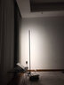欧格尼 极简创意落地灯 客厅卧室氛围灯北欧简约led立灯ins风轻奢灯具 银色灯体+无极调光配遥控 实拍图