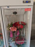 煦雪 鲜花保鲜柜花店冷藏风冷无霜立式花艺花柜鲜花店商用节能高端展示柜冰箱冰柜 双门白色鲜花保鲜柜 实拍图