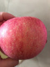 宏辉果蔬烟台特级红富士苹果水果新鲜当季脆甜大果中果超大果160-240g单果 80mm（含）-85mm(不含) 5斤 晒单实拍图