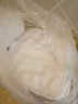 全力 10条装纯棉白色小方巾柔软吸水白毛巾酒店幼儿园KTV餐厅厨房抹布 30克28*28（优质棉）10条装 实拍图