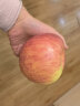 农夫山泉苹果 阿克苏农夫鲜果  15个装（75-79mm）净重2.8kg 礼盒 晒单实拍图