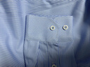 恒源祥轻奢含桑蚕丝长袖衬衫男秋冬季男士商务休闲正装衬衣中青年外套男 中兰 40 （胸围106cm） 实拍图