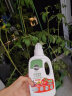 美乐棵（Scotts Miracle-Gro）腐殖酸有机浓缩营养液番茄型500ML/瓶花肥肥料园艺蔬菜浓缩营养液 实拍图