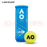 邓禄普（DUNLOP）澳网网球AO澳大利亚网球公开赛官方用球胶罐3粒装601601 实拍图