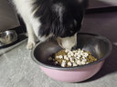 养只宠物 狗狗冻干零食全家桶大礼包补钙泰迪幼犬鸡胸肉训犬鸡肉干狗 袋装鸡肉粒250g(土鸡品质原料) 无规格 实拍图