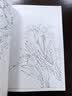 满庭芳 工笔白描百花画谱 实拍图