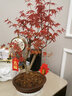 企米新年装饰2025春节过年乔迁之喜装饰立体无纺布福字盆景挂饰挂件 贴金福字挂件（3款18个） 实拍图
