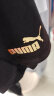 彪马（PUMA）男装外套 25夏季新款运动服户外时尚防风上衣休闲潮流立领夹克衫 628309-01/黑色/侧边串标 L 实拍图