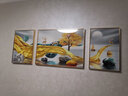 瑞尚（RUISHANG） 北欧客厅装饰画轻奢沙发背景墙挂画简约墙上壁画餐厅玄关墙画 家和万事兴C 左右40*60+中间80*60晶瓷面金框 实拍图