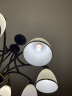 亮范LED灯泡玉米灯变光中性光白光家用暖光吊灯水晶灯酒店餐厅光源 E27高亮款【12W】 白光 实拍图
