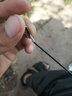 光威鱼竿矶钓竿长节超轻矶竿碳素杆超轻超硬远投竿手海两用竿抛竿 6.3m 5号 霸道+光威轮+配件套装 实拍图