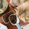 愛肯拿（ACANA）猫粮 草原家禽鸭肉无谷低敏高蛋白美国1.8kg效期2027/4 实拍图