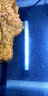 俪鱼（LIYU）小型鱼缸加热棒热带鱼自动恒温石英加温棒水族电热棒 外置调温 石英管120W 性能稳定 实拍图
