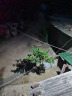 近铁太阳能照明灯户外庭院灯家用室外防水感应新型农村照明led路灯 6000W全面屏人体感应+照约500m² 实拍图