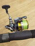 达亿瓦（DAIWA）24新款 REGAL CS 进口轻量纺车轮远投路亚轮 10轴小型通用钓鱼轮 LT 4000D-CXH（深杯+高高速比） 实拍图