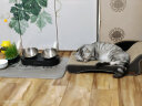 小佩宠物猫碗 猫粮碗猫咪斜口碗 双碗15°护颈猫食盆狗碗 不锈钢双食碗 晒单实拍图