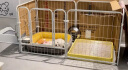 宠乐乖（CHONGLEGUAI）狗围栏宠物室内栅栏折叠拆卸笼子小中大型犬护栏60×60cm白色6片 晒单实拍图