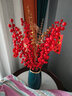 爱泽宝 红色发财果发发果红果北美冬青枝假花仿真花餐桌摆设客厅茶几电视柜新年装饰花婚庆乔迁花艺摆件 5支红果1银杏叶1尤加利+简律花瓶（配挂饰） 实拍图